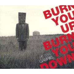 Peter Gabriel : Burn You Up Down